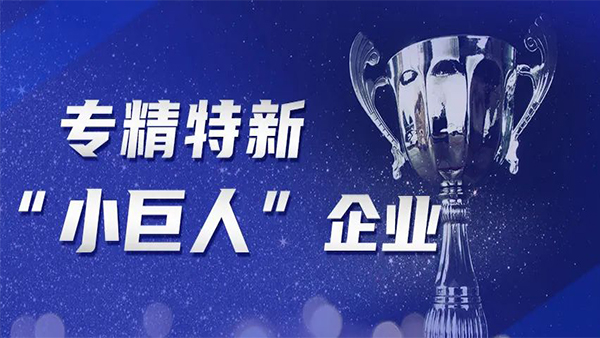 喜訊!洲翔榮膺國(guó)家級(jí)專精特新“小巨人”企業(yè)