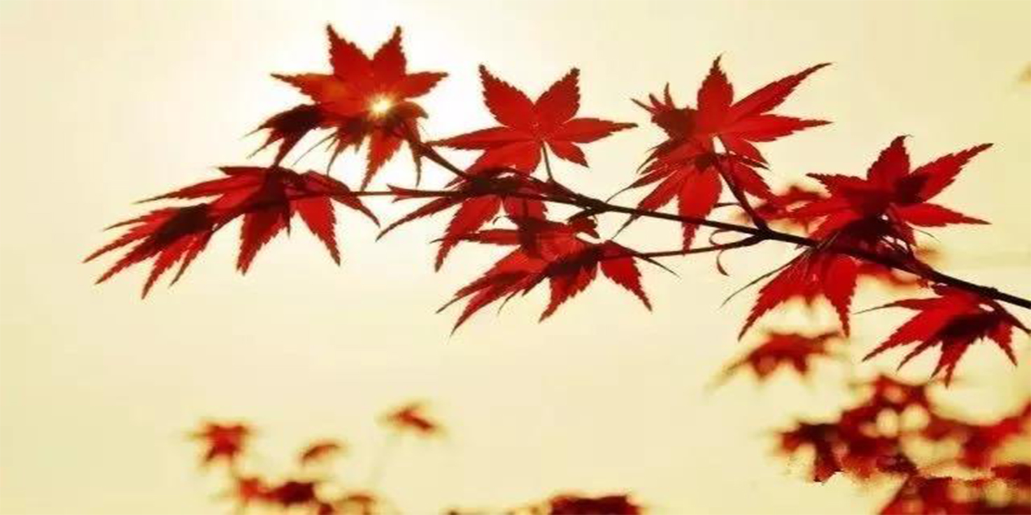 感恩今生相遇的每個(gè)人！