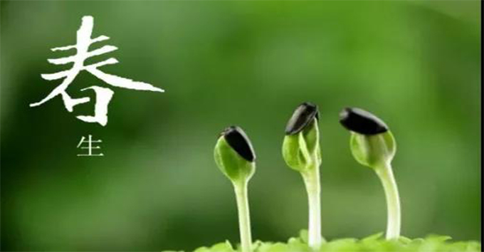 人生之道：三分是選擇，七分靠放下