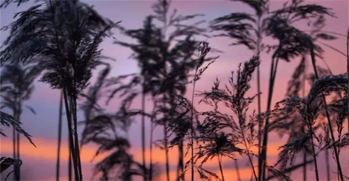 先尊重別人，才被人尊重